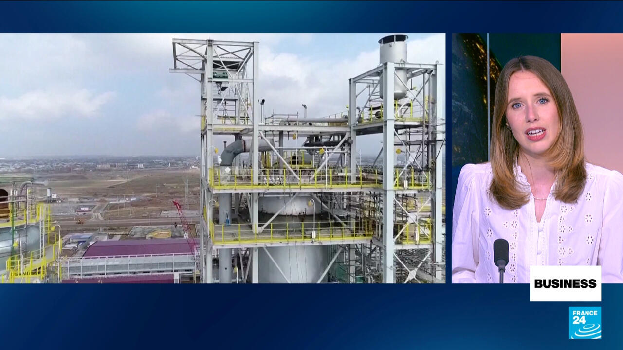 OPEC+ raises output but cartel’s future hangs in balance – Business